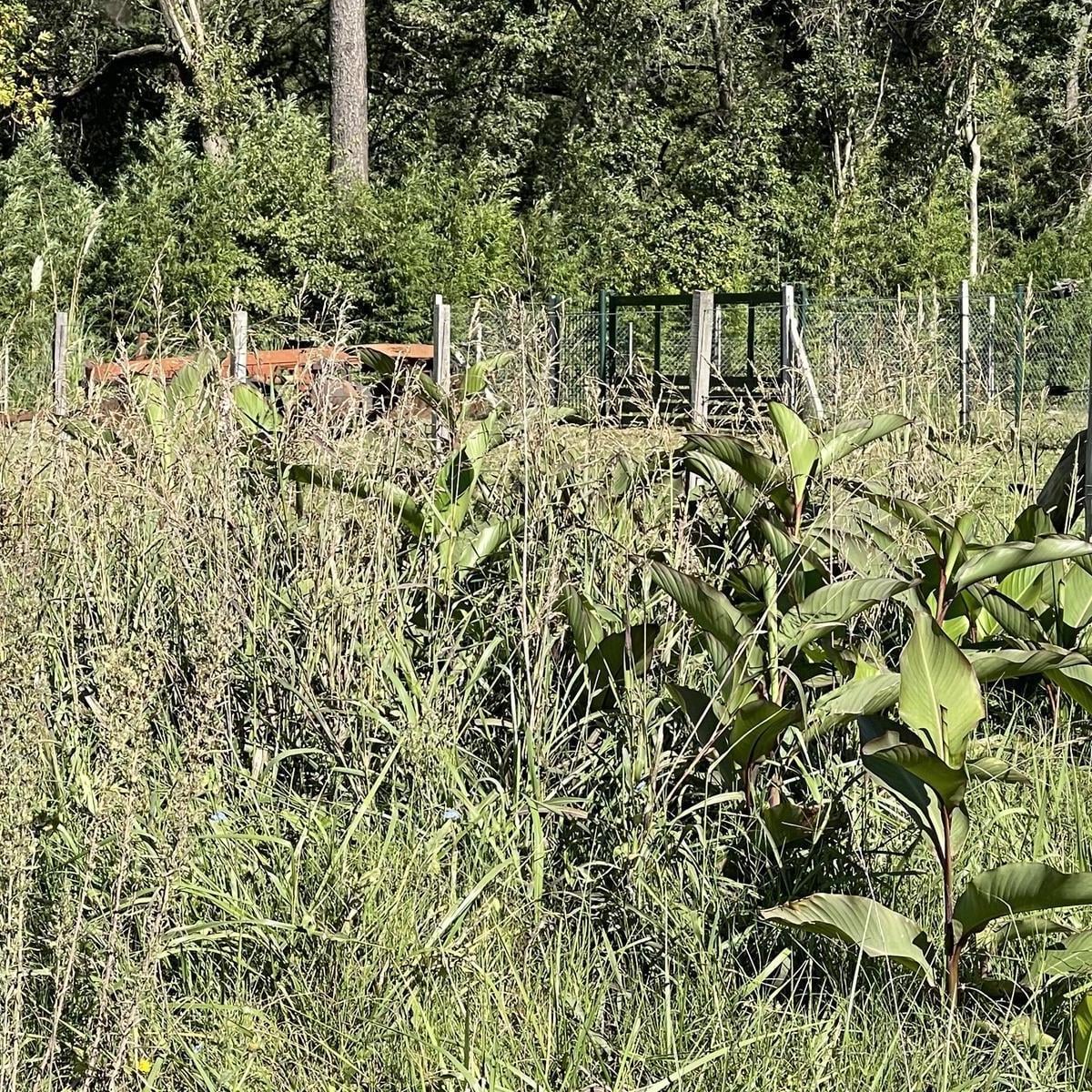 Terreno en Terrenos en Ruta 205 km 57. Villa Adriana
