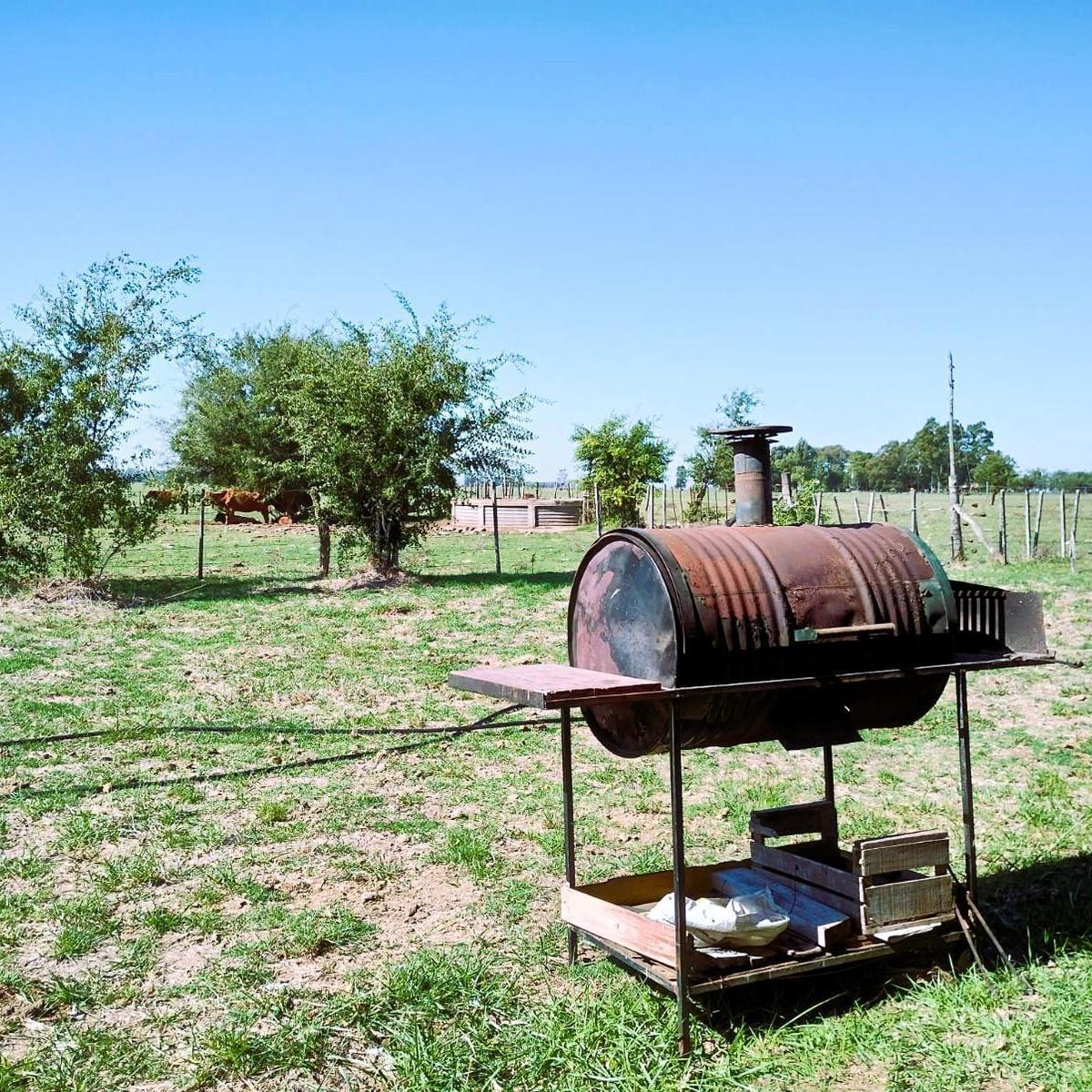 CAMPO EN VENTA 186 has ruta 3, km 72, a 14 km sobre camino a Udaondo