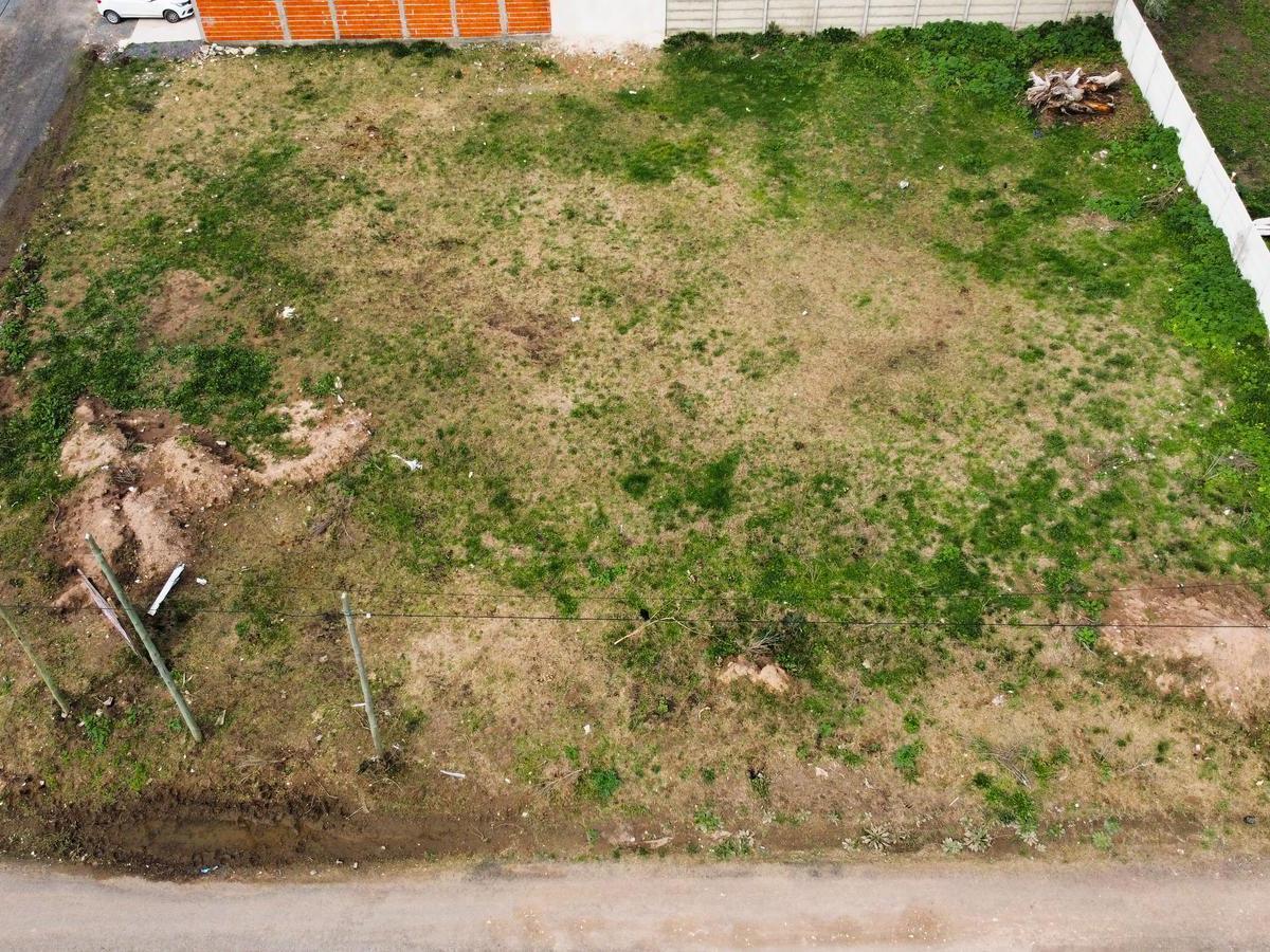 Terrenos en Mozotegui Entre Saavedra y Larrea 5