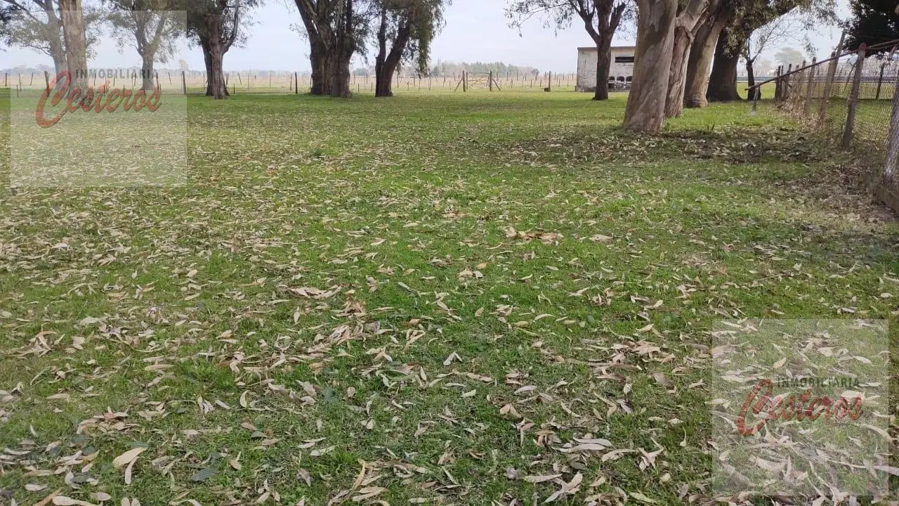 Quinta Ruta 205 km 74.500 - El Taladro 5