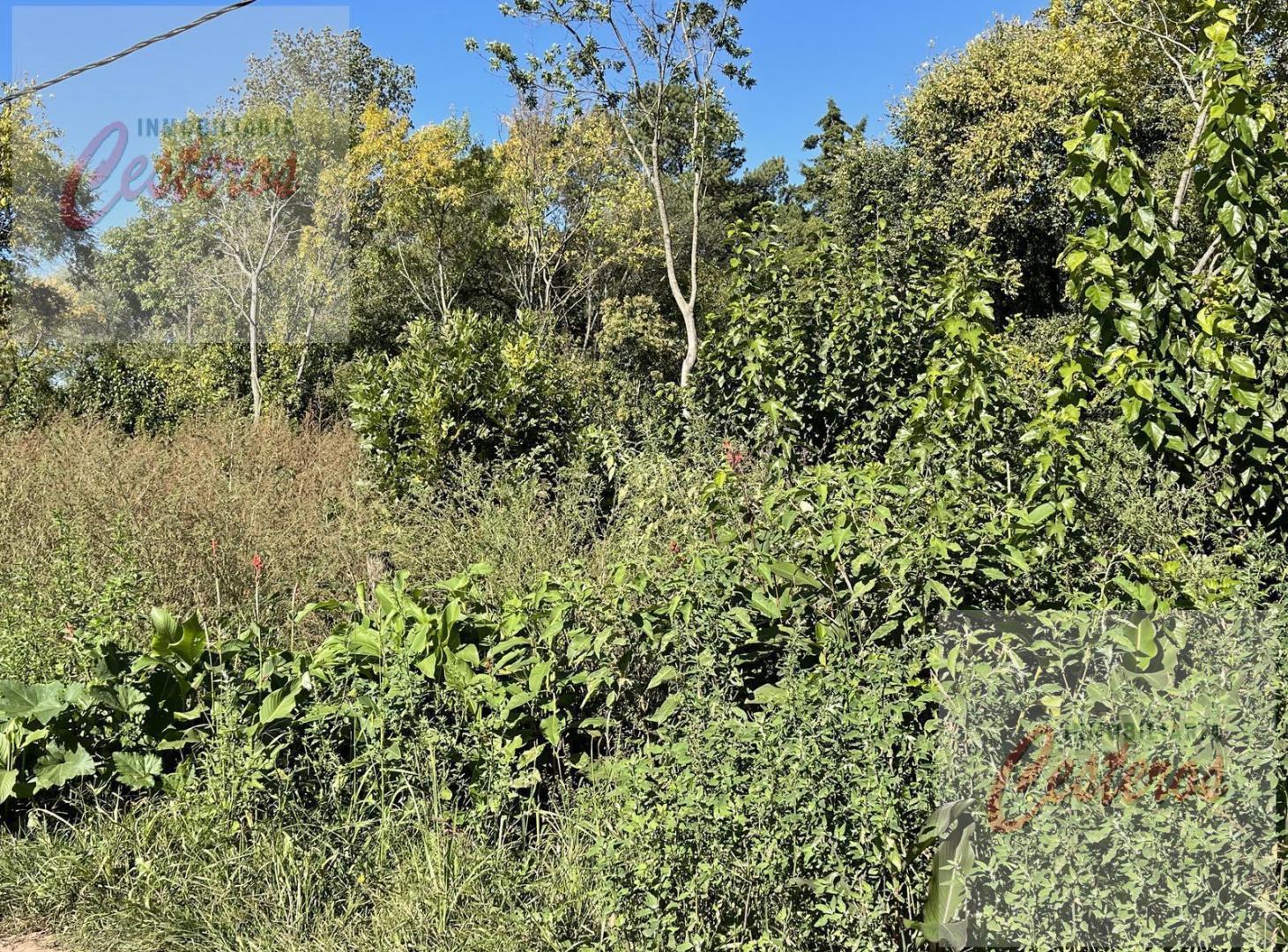 Foto de Terreno en Terrenos en Ruta 205 km 57. Villa Adriana, imagen 4