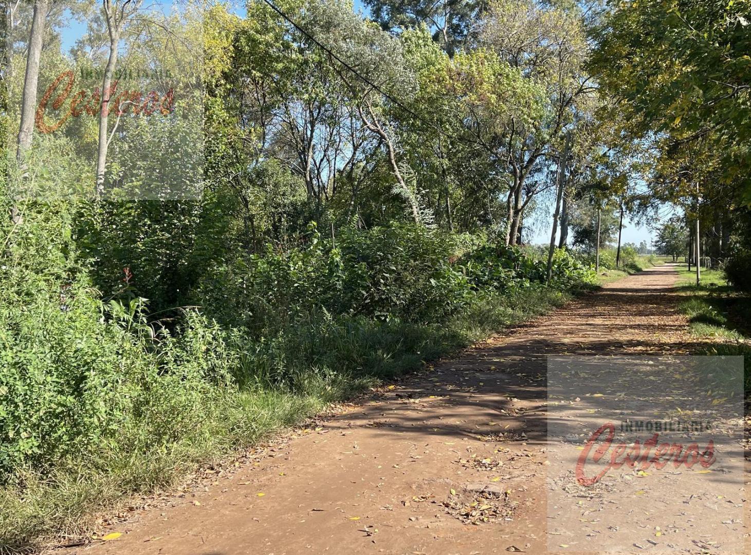 Foto de Terreno en Terrenos en Ruta 205 km 57. Villa Adriana, imagen 3