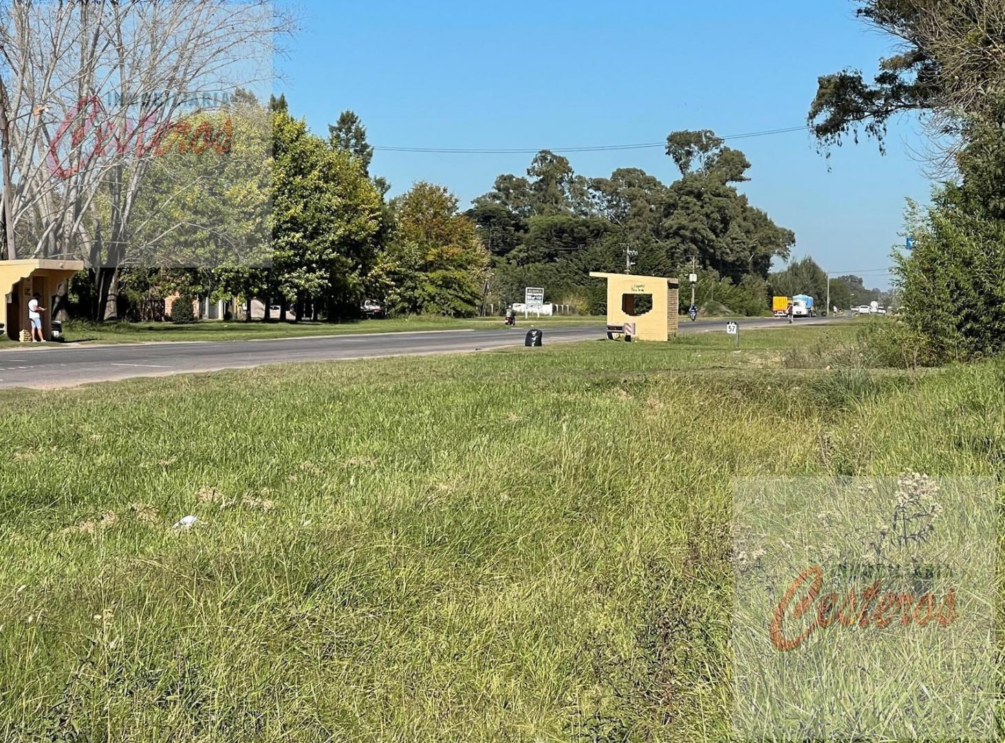 Foto de Terreno en Terrenos en Ruta 205 km 57. Villa Adriana, imagen 1