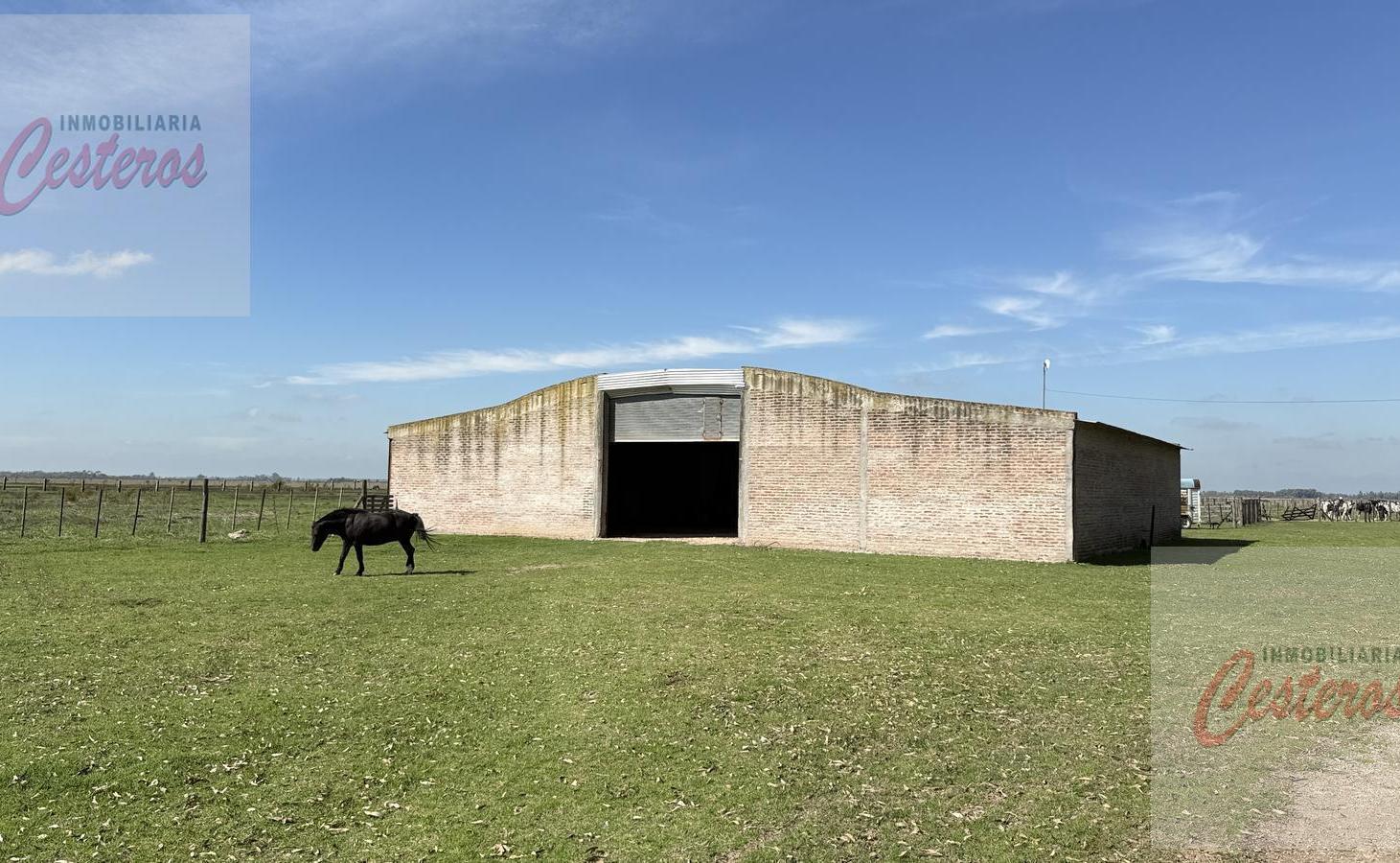 Foto de Galpón en calle, Ruta 205, km 74.500, imagen 3