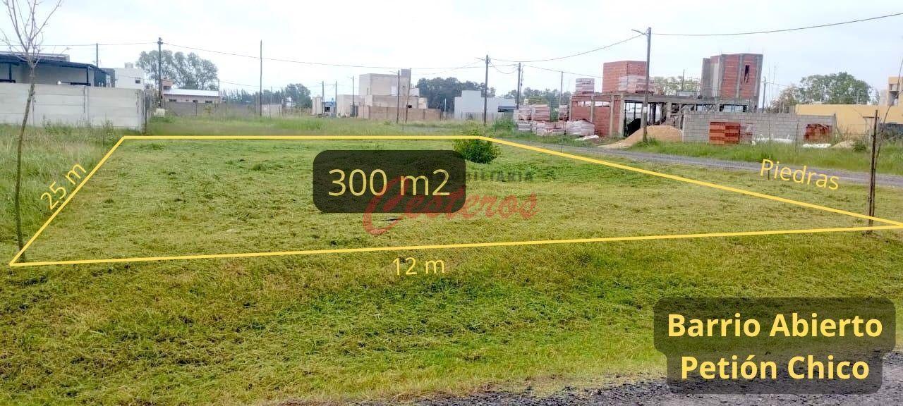 Foto de Terreno de 300m2 en Barrio Abierto Petión Chico, imagen 4