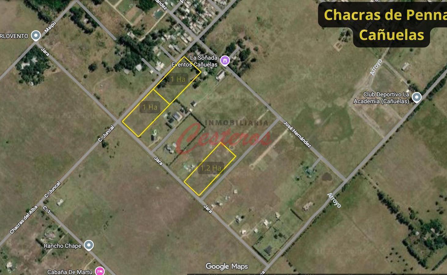 Foto de Chacra de 1 Ha, en Chacras de Penna - Cañuelas, imagen 3