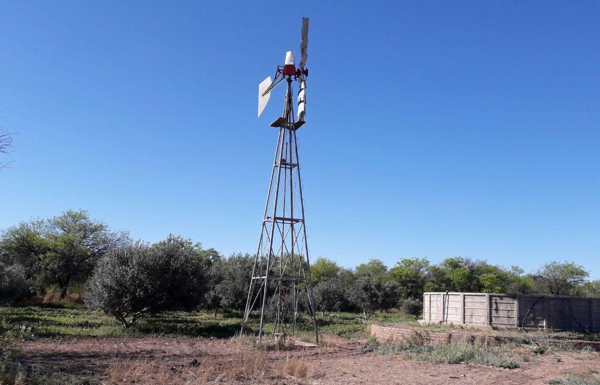 Campo en Venta en Los Chañaritos - Cruz del Eje - Los Naranjos - Los Hormigueros 1