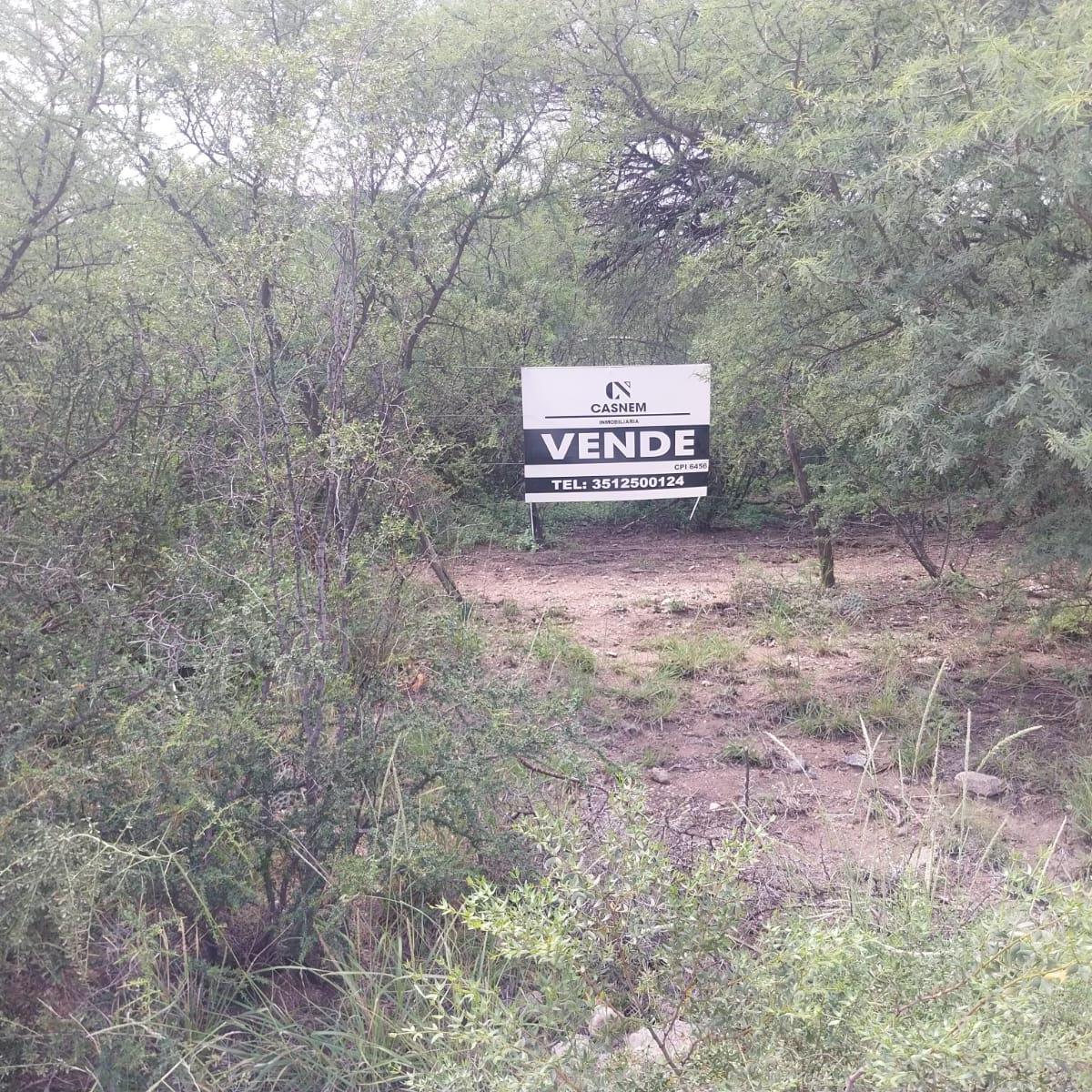 Campo de 300 Ha, San Marcos Sierra 3