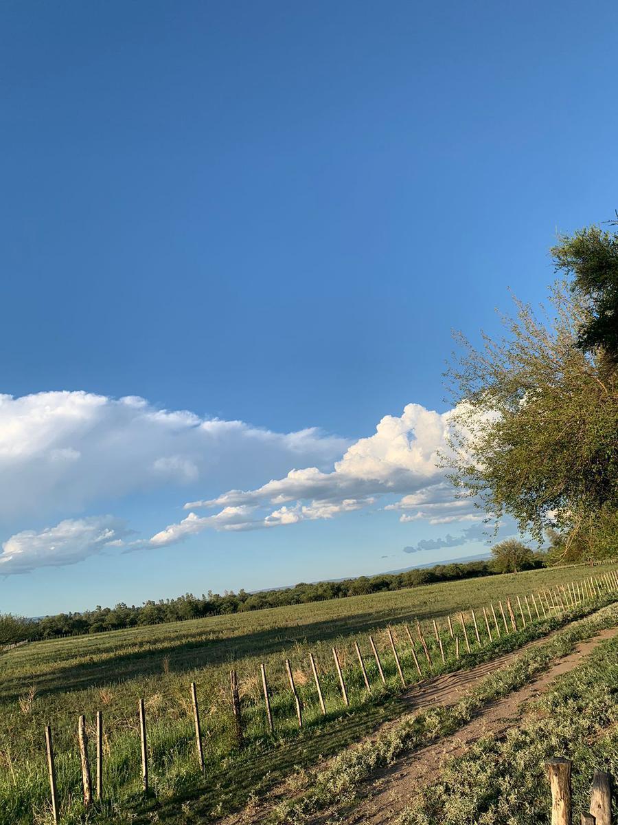 Campo ganadero de 15 hectareas en venta en Las Encrucijadas, Villa Dolores
