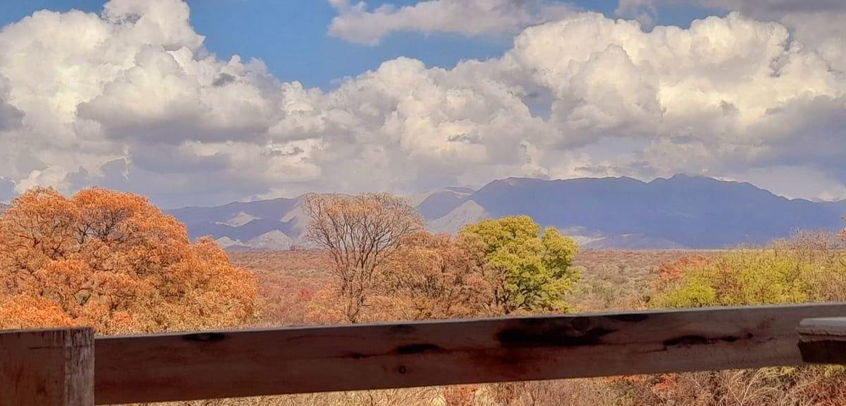 Terreno en Venta un Gran Lote con Una Cabaña a Terminar 2