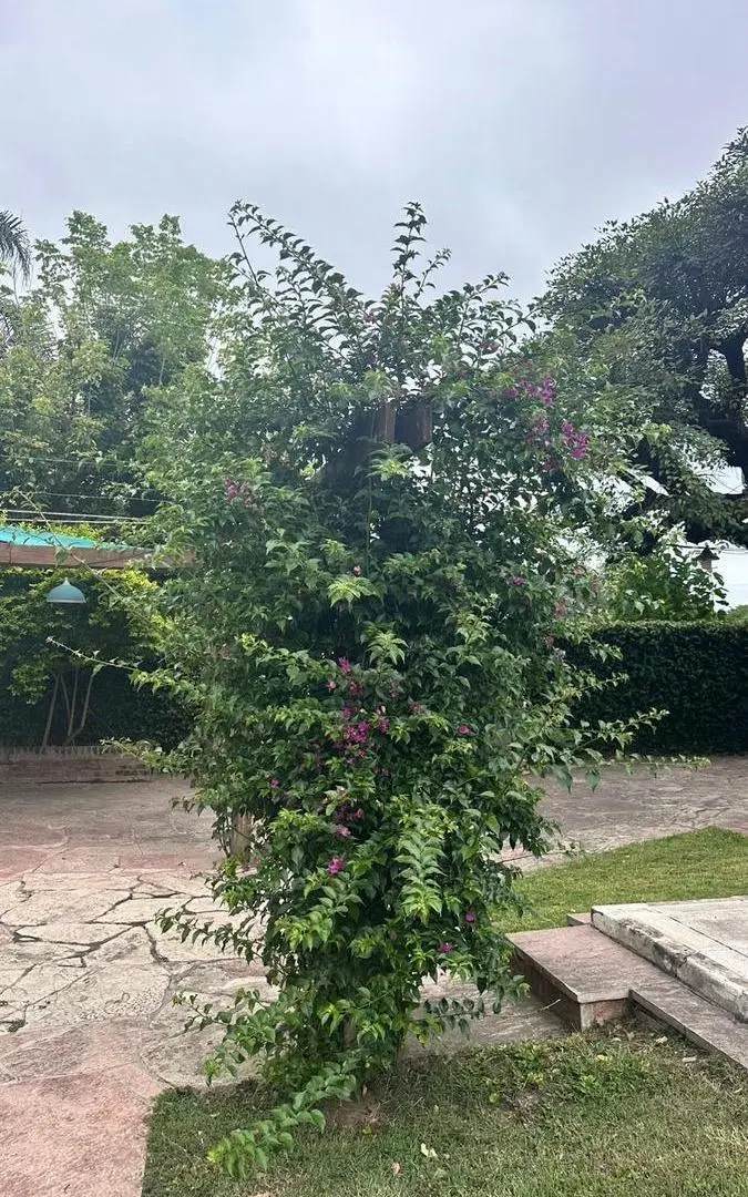 Casona colonial en Colonia Caroya, amplio terreno! 5