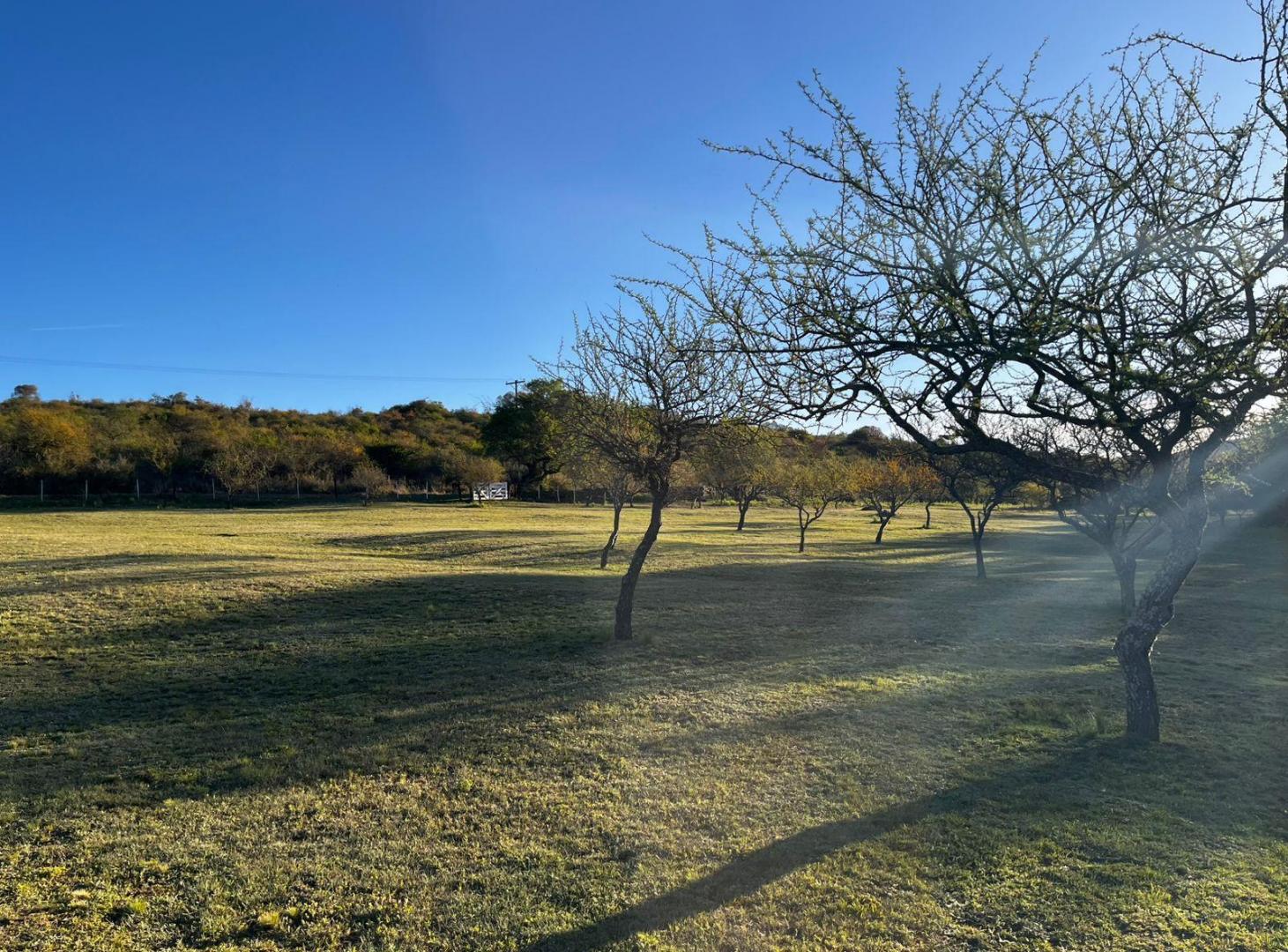Foto de Vendo Estancia en Rio de los Sauces, con 400 m de Rio Propio + 2 Deptos, imagen 2