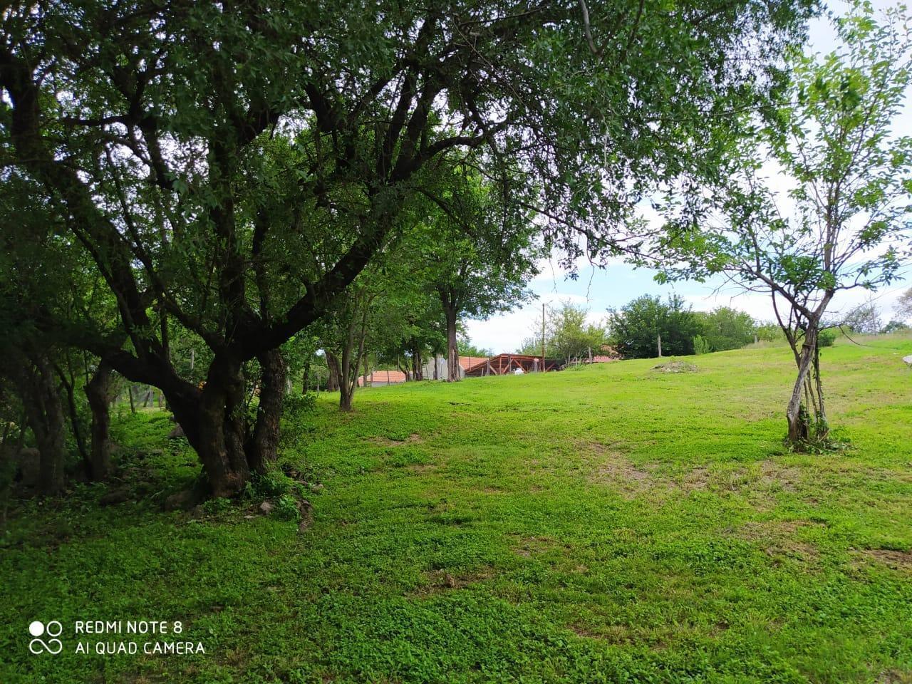 Foto de Terreno en Salsipuedes, imagen 1