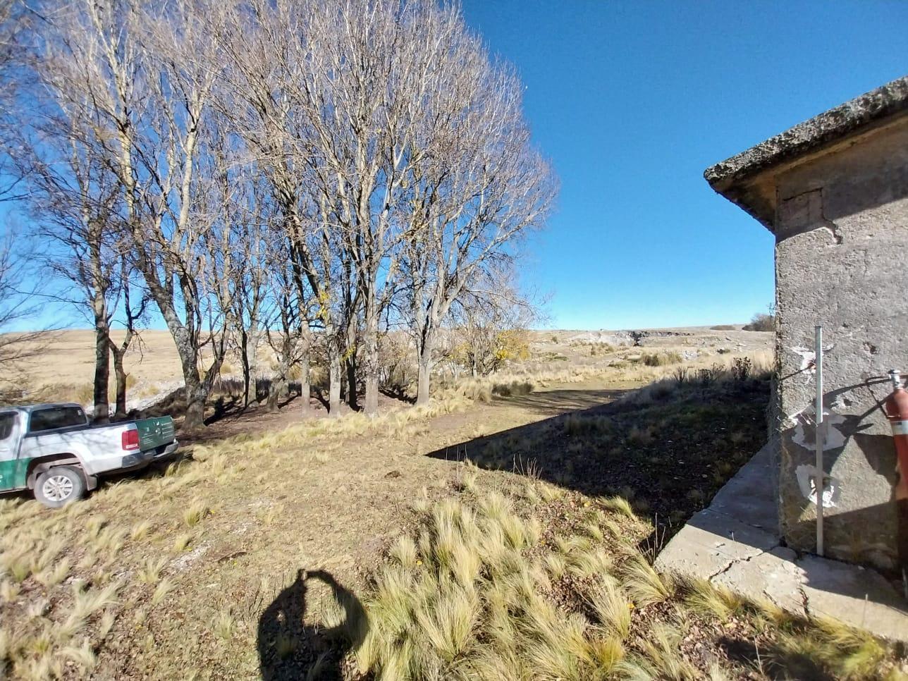 Foto de Campo en venta de 750 Hectareas en Los Gigantes, comuna Cuchilla Nevada, imagen 1