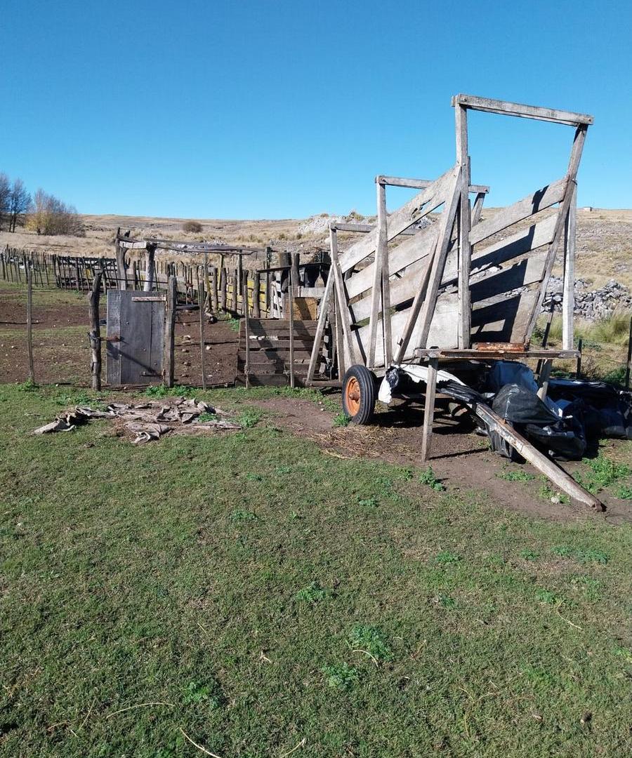 Foto de Campo en venta de 750 Hectareas en Los Gigantes, comuna Cuchilla Nevada, imagen 3