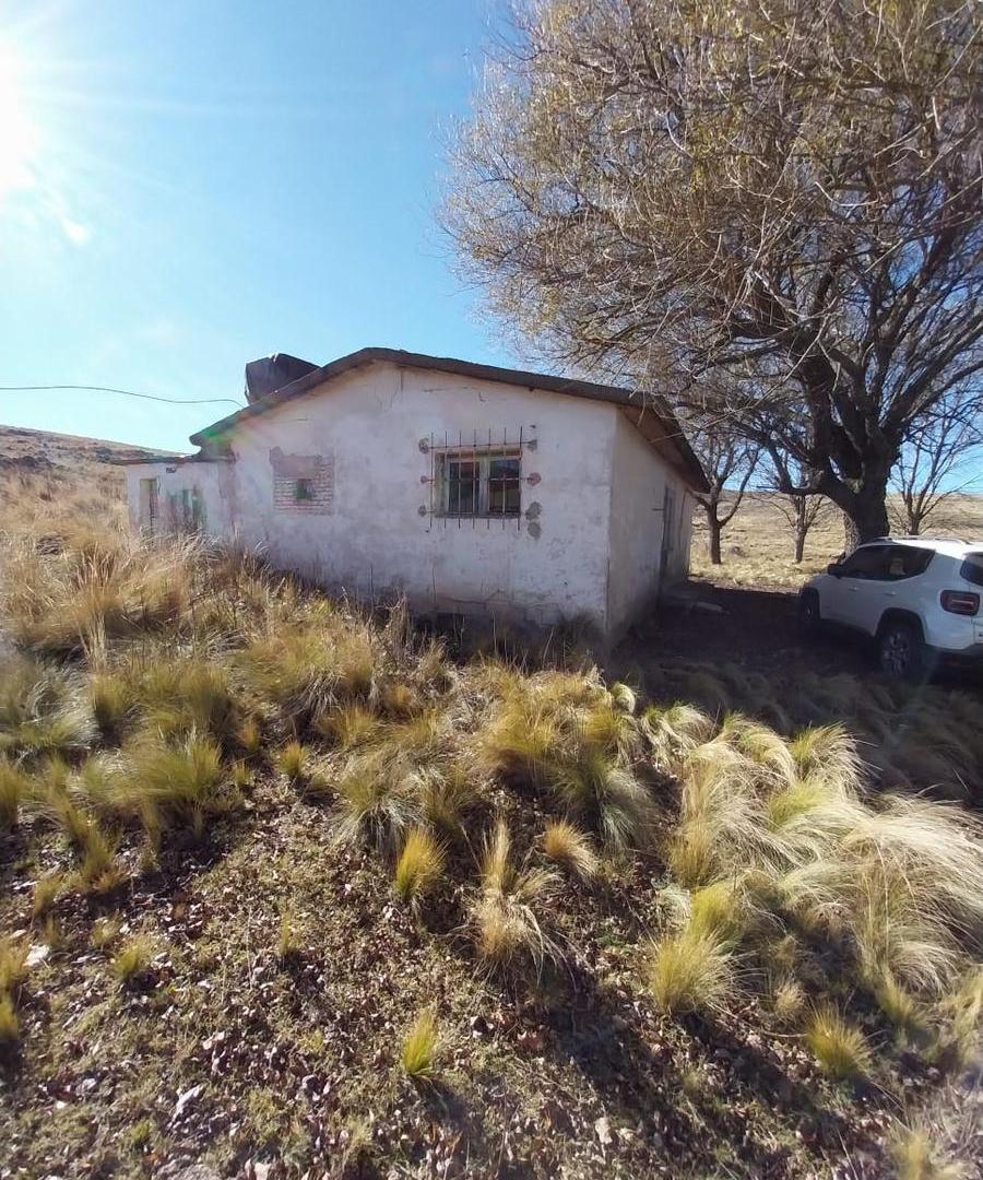 Foto de Campo en venta de 750 Hectareas en Los Gigantes, comuna Cuchilla Nevada, imagen 2