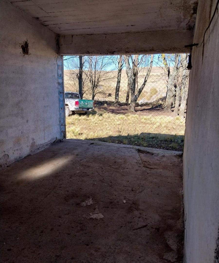 Foto de Campo en venta de 750 Hectareas en Los Gigantes, comuna Cuchilla Nevada, imagen 5