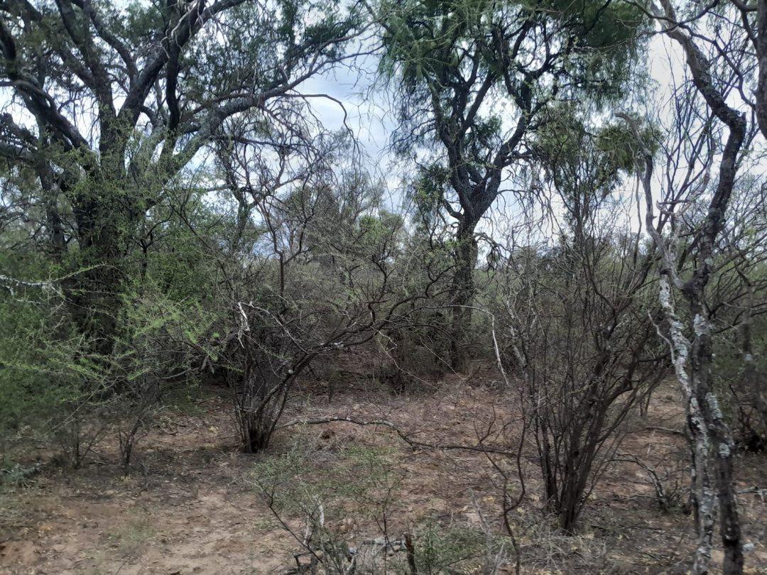 Campo Ganadero de 1800 hectareas, depto Minas