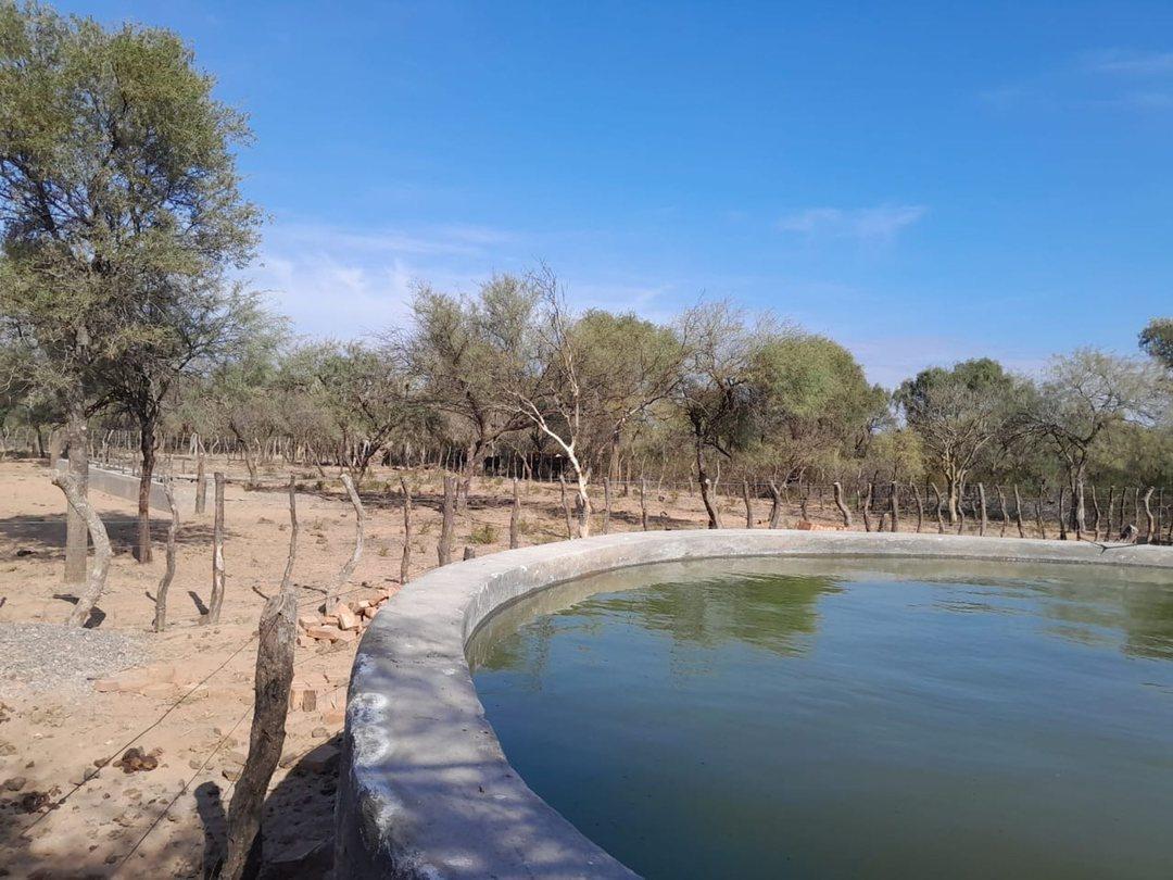 Foto de Campo Ganadero de 1800 hectareas, depto Minas, imagen 4