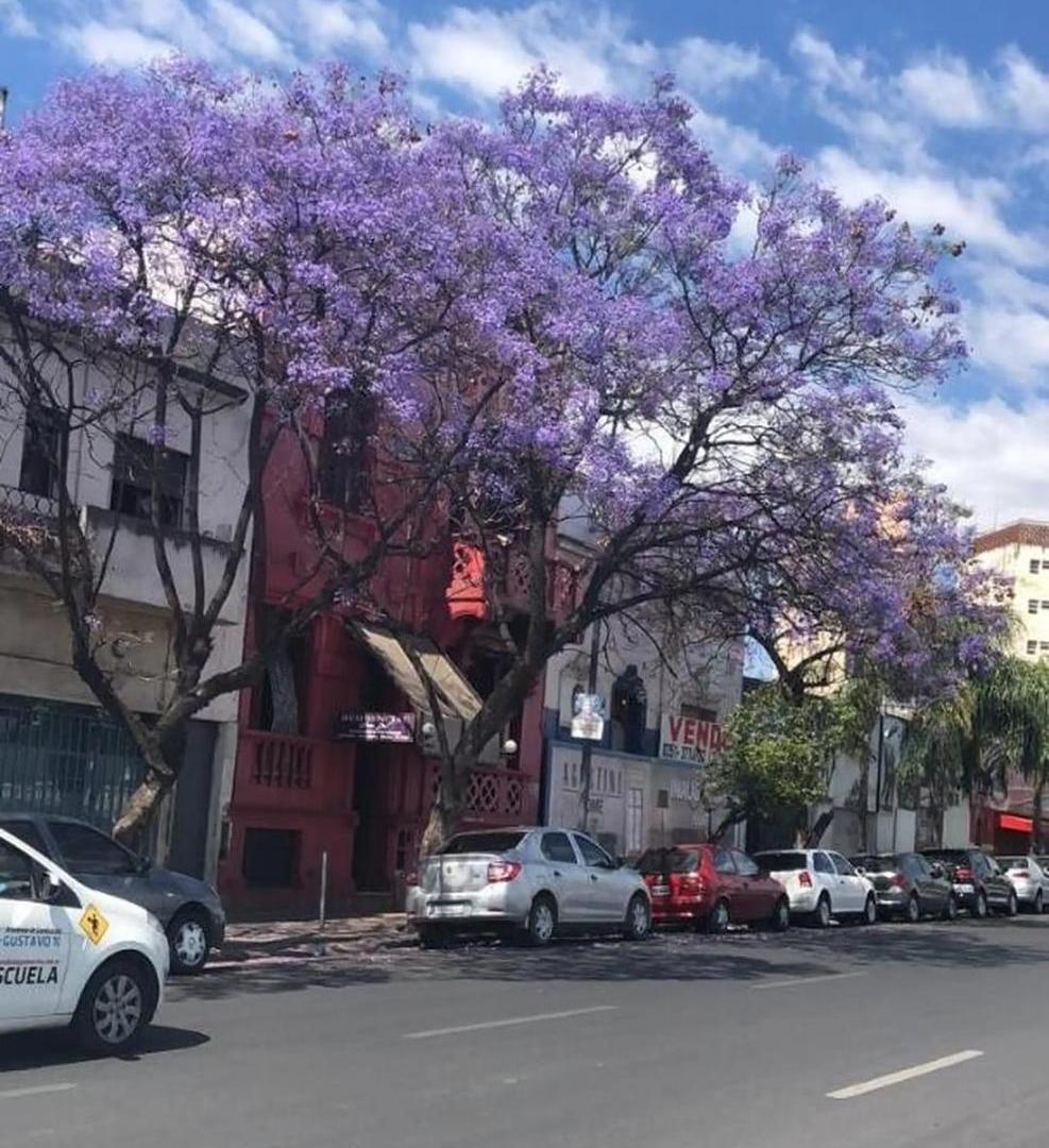 Foto de VENTA TERRENO CON CASA A DEMOLER – BV. MITRE 151, CENTRO DE CÓRDOBA |, imagen 2