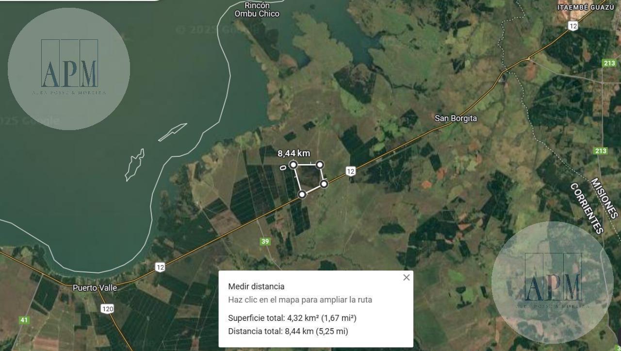 Foto de VENTA | CAMPO FORESTAL DE PINOS – PUERTO VALLE, CORRIENTES, imagen 4