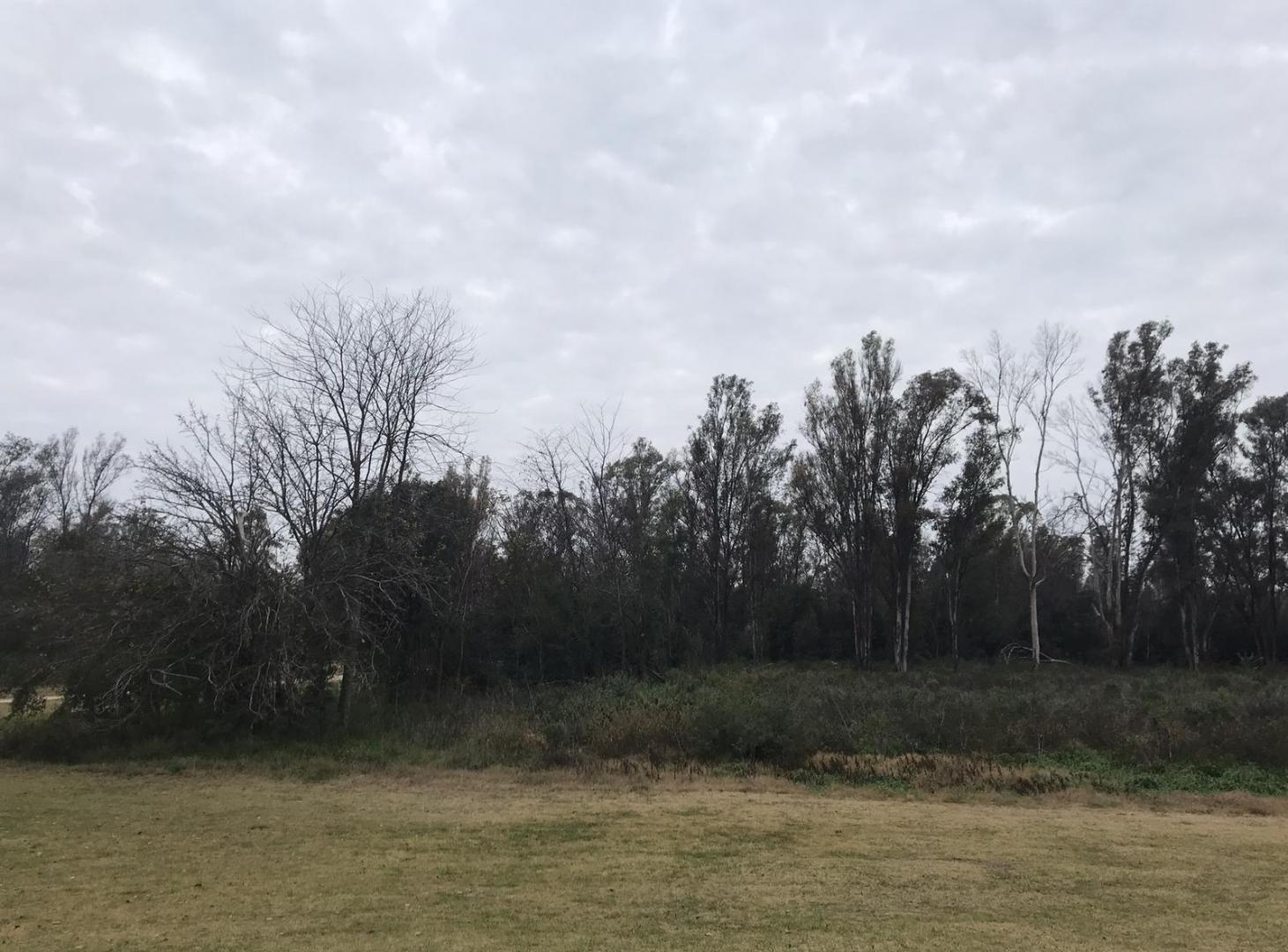 Terreno en  Chacras del Paraná - 1 hectárea al golf - Arbolado