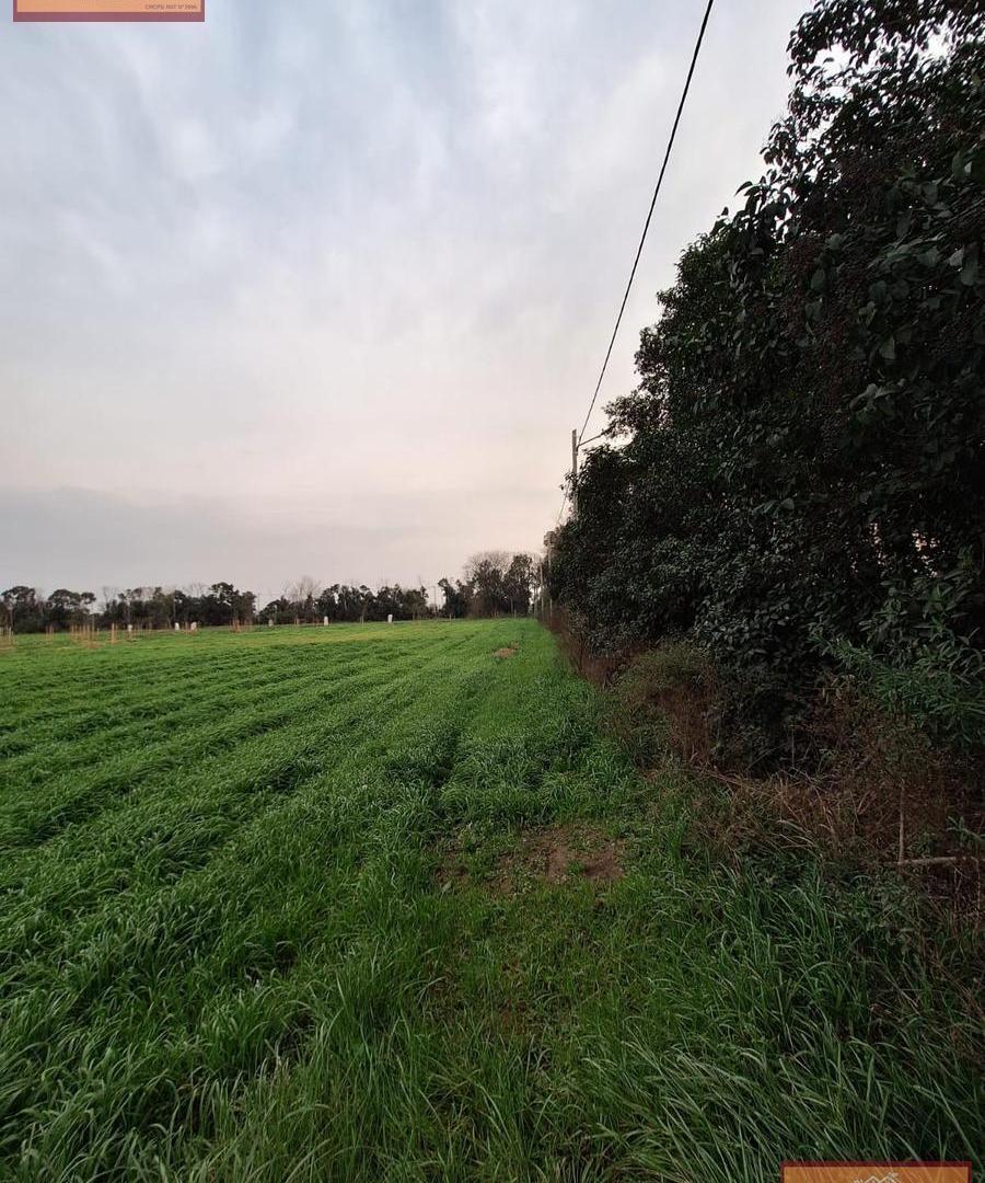 Foto de Terreno en Belen De Escobar, imagen 4