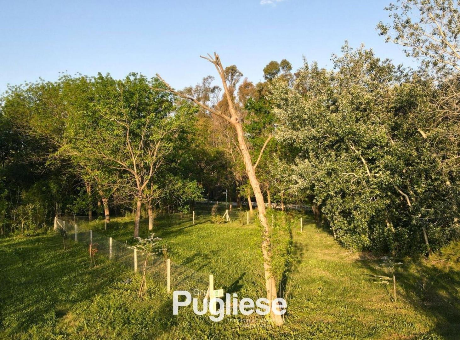 Terreno en La Reja Moreno