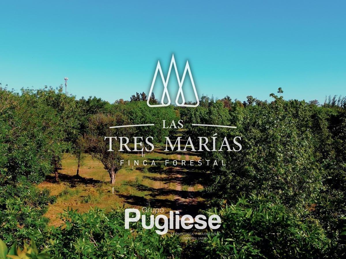 Foto de Terreno en venta en Moreno, imagen 3
