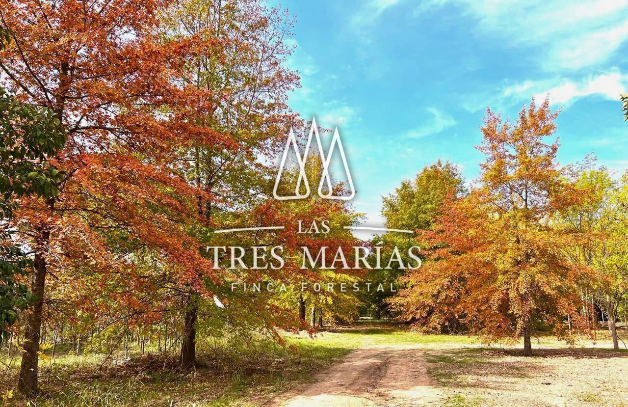 Terreno en Moreno