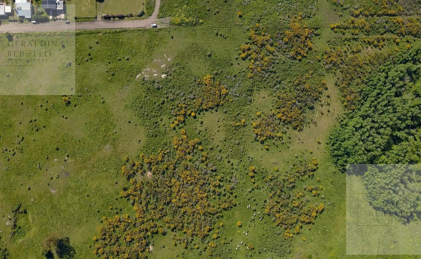 Foto de Terreno en venta en Tandil La Elena, imagen 4