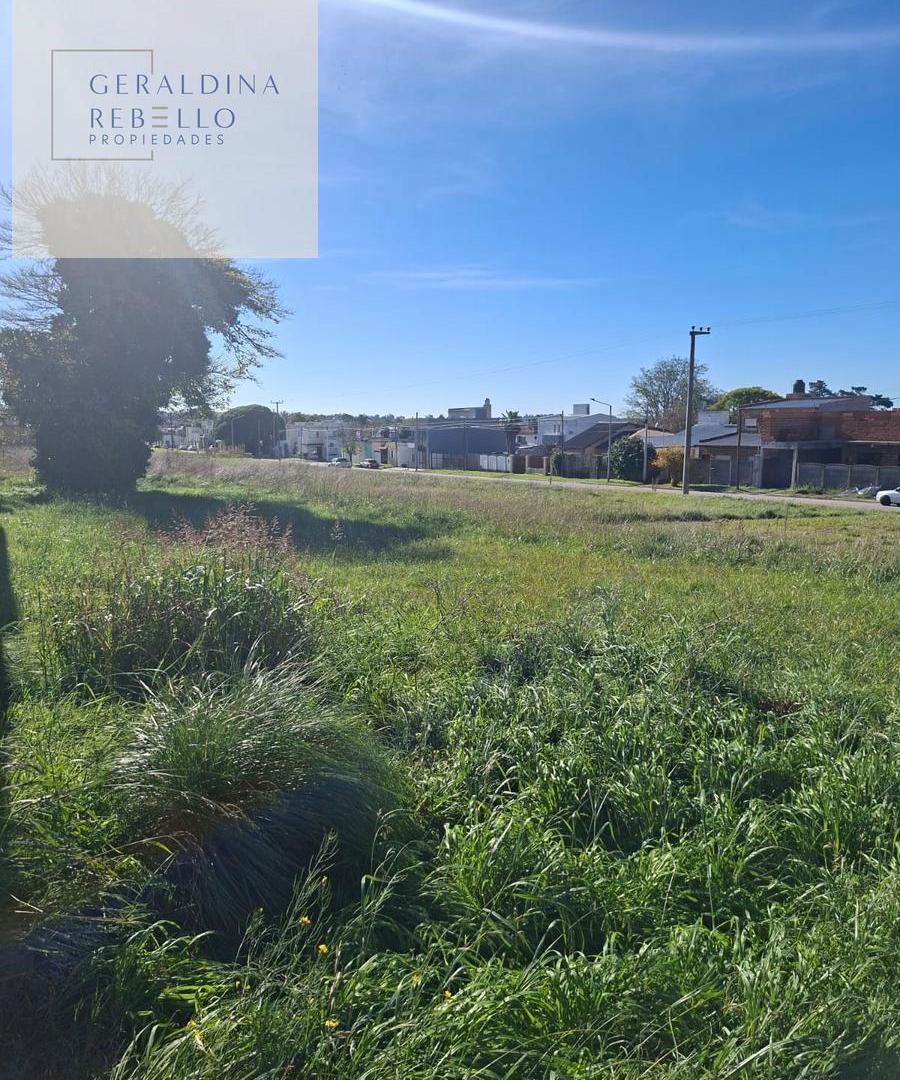 Foto de Terreno en Tandil, imagen 3