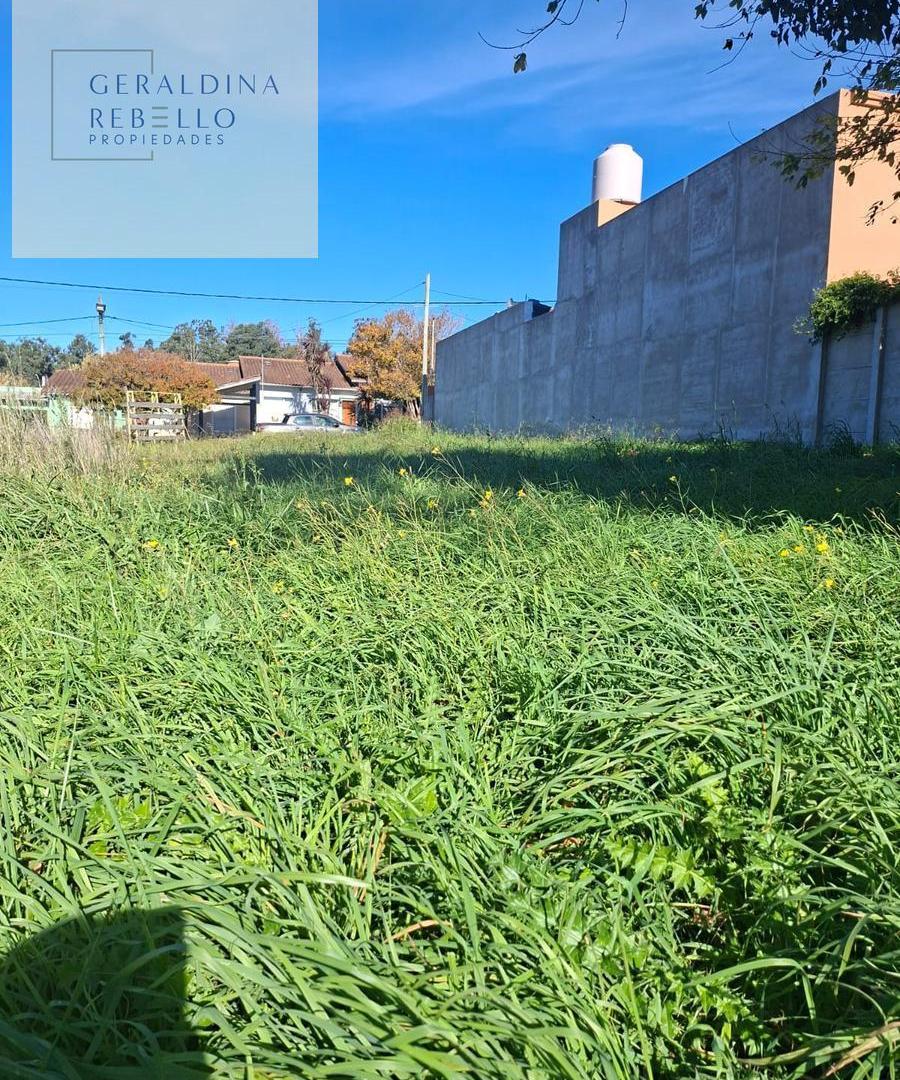 Foto de Terreno en Tandil, imagen 4