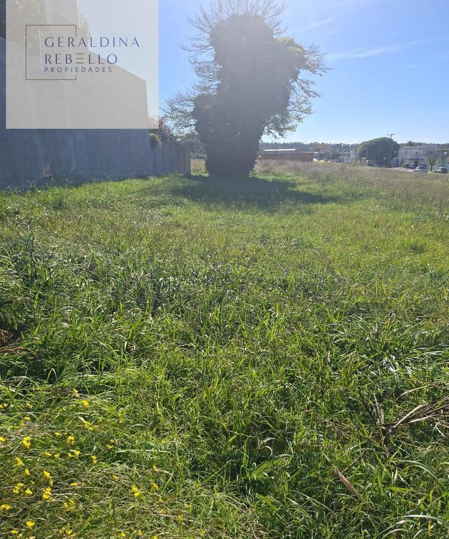 Foto de Terreno en Tandil, imagen 1