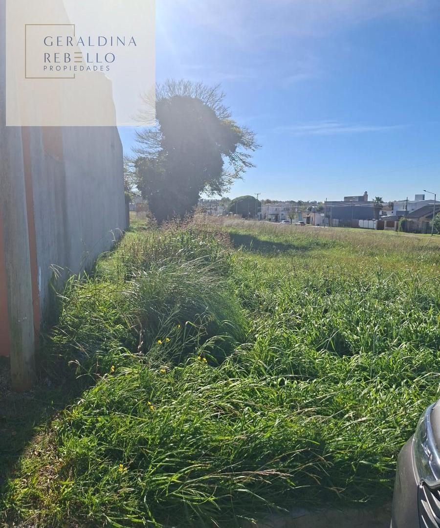 Foto de Terreno en Tandil, imagen 5