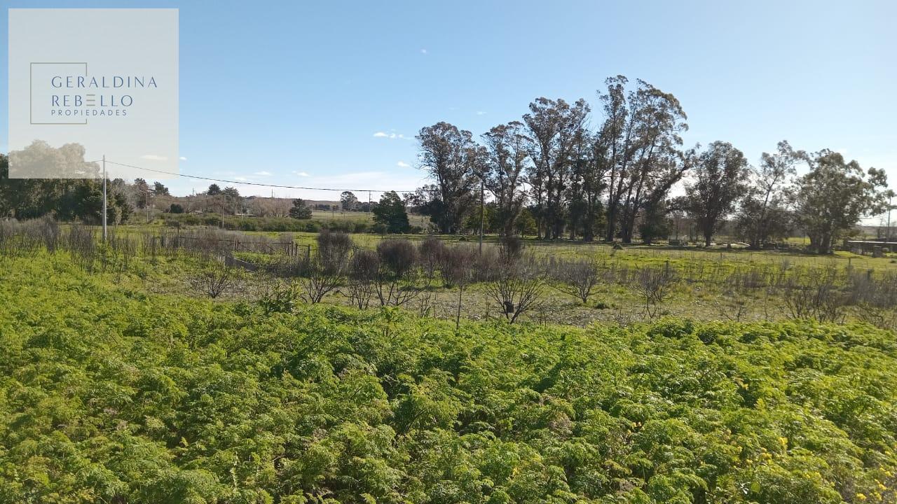 Foto de Terreno en Tandil, imagen 1