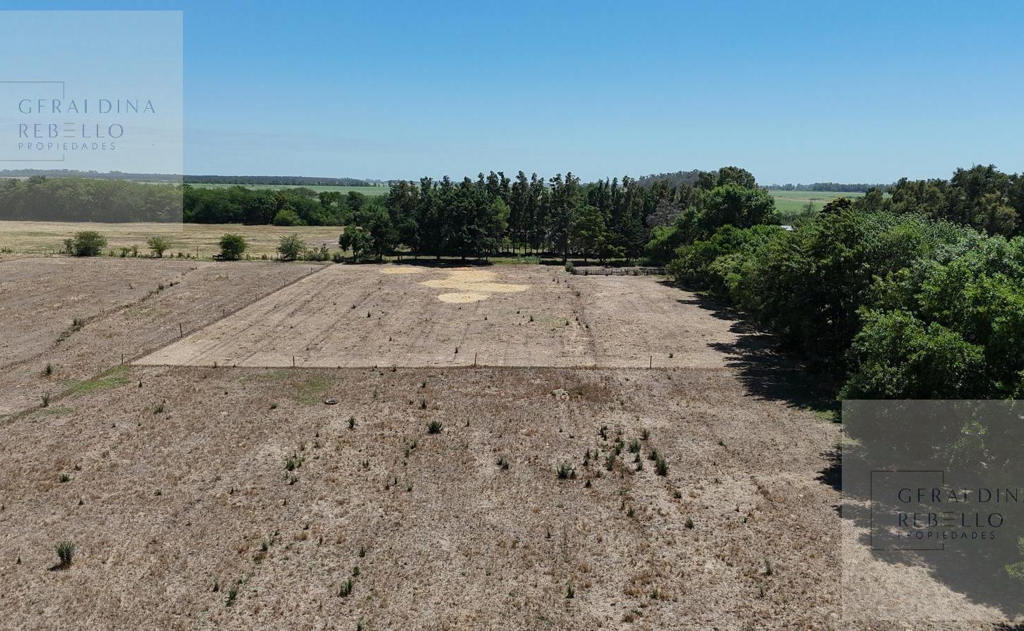 Foto de CAMPO EN VENTA EN ZARATE BUENOS AIRES, imagen 1