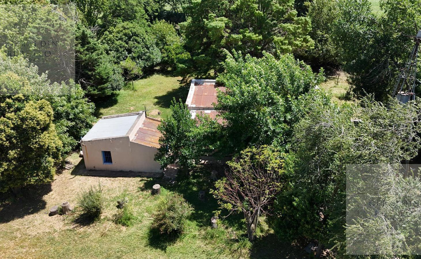 Foto de CAMPO EN VENTA EN ZARATE BUENOS AIRES, imagen 2