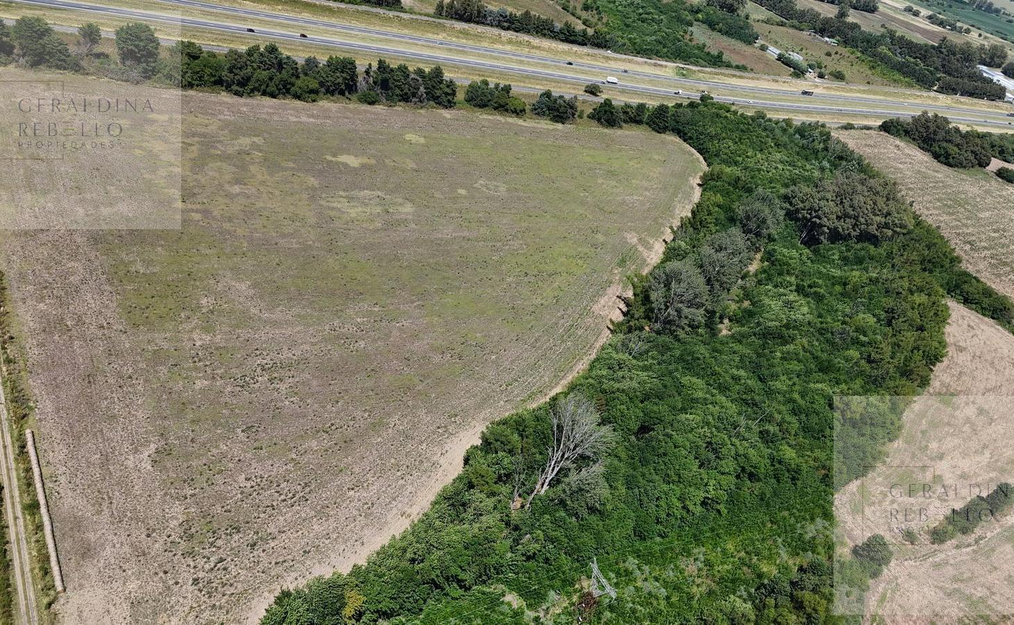 Foto de CAMPO EN VENTA EN ZARATE BUENOS AIRES, imagen 5