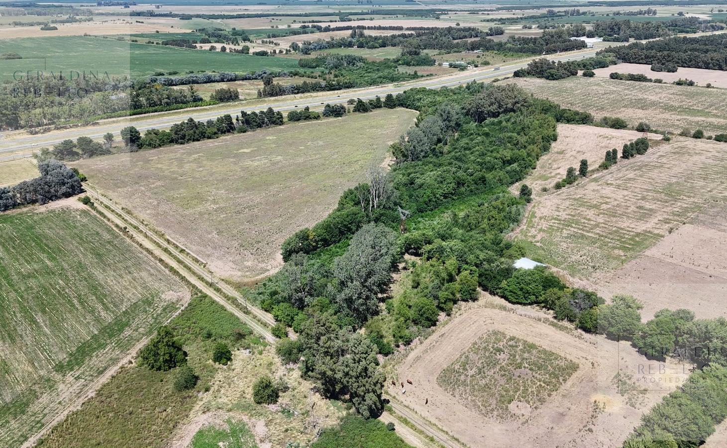 Foto de CAMPO EN VENTA EN ZARATE BUENOS AIRES, imagen 4