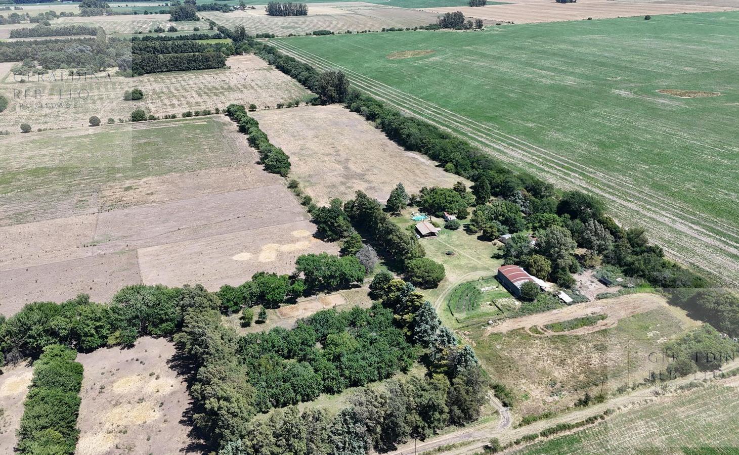 Foto de CAMPO EN VENTA EN ZARATE BUENOS AIRES, imagen 3