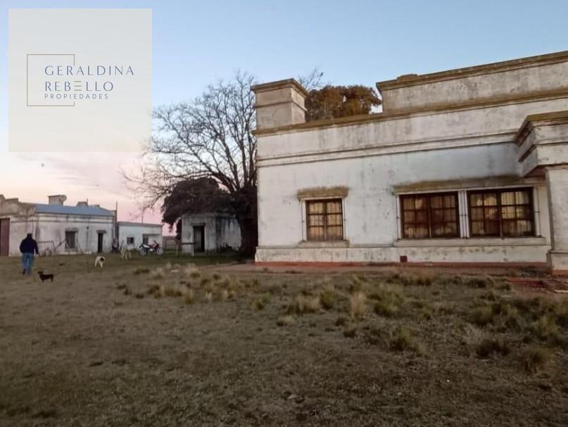 Foto de CAMPO EN VENTA EN SAN CARLOS DE BOLIVAR, imagen 5