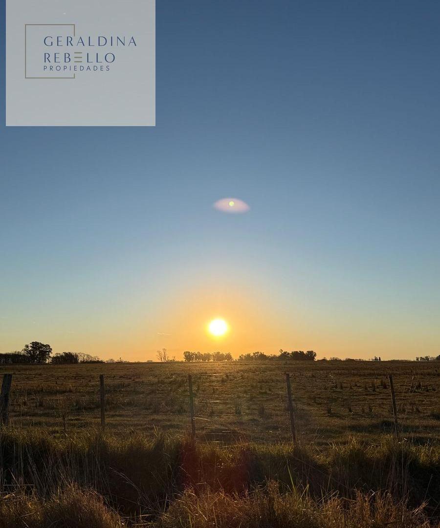 Foto de CAMPO EN VENTA EN SAN CARLOS DE BOLIVAR, imagen 3