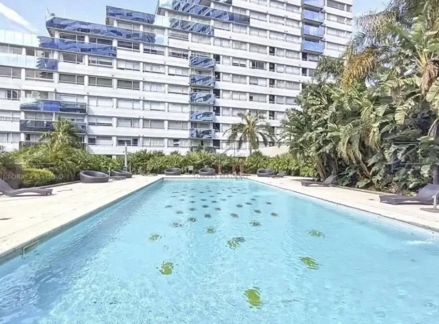 ALQUILER 2 AMBIENTES AMOBLADO CON AMENITIES - P. MADERO 5