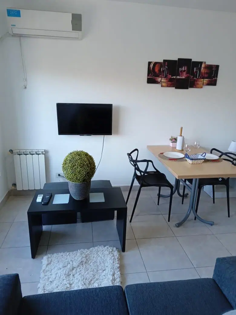 ALQUILER MONOAMBIENTE PREMIUM AMOBLADO + COCHERA EN BALVANER 1