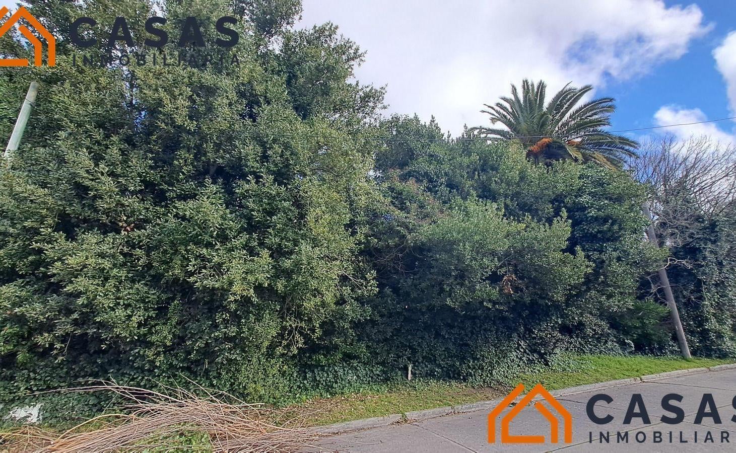 Foto de Terreno - Pinos De Anchorena, imagen 2