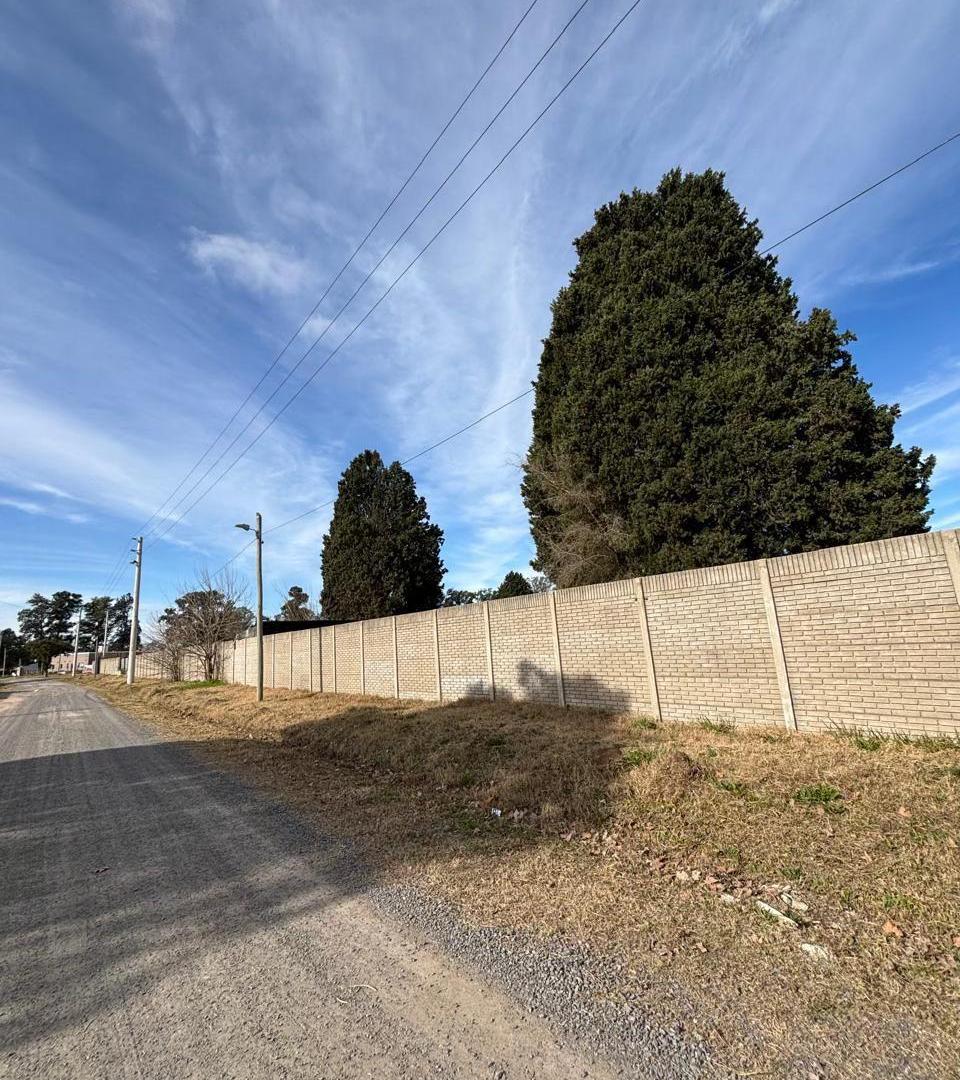 Foto de TERRENO COMERCIAL EN VENTA,ALEJANDRO PETION, CAÑUELAS, imagen 5