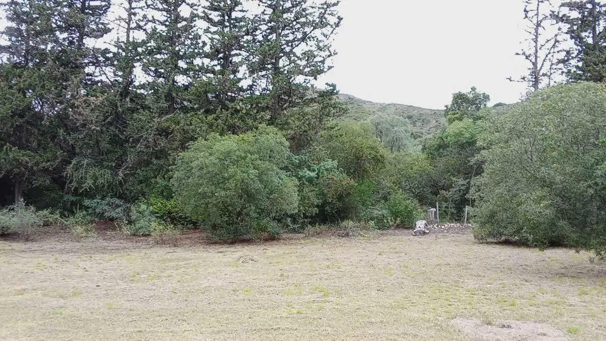Venta de Lote en Los Cocos de 2.003m2 5