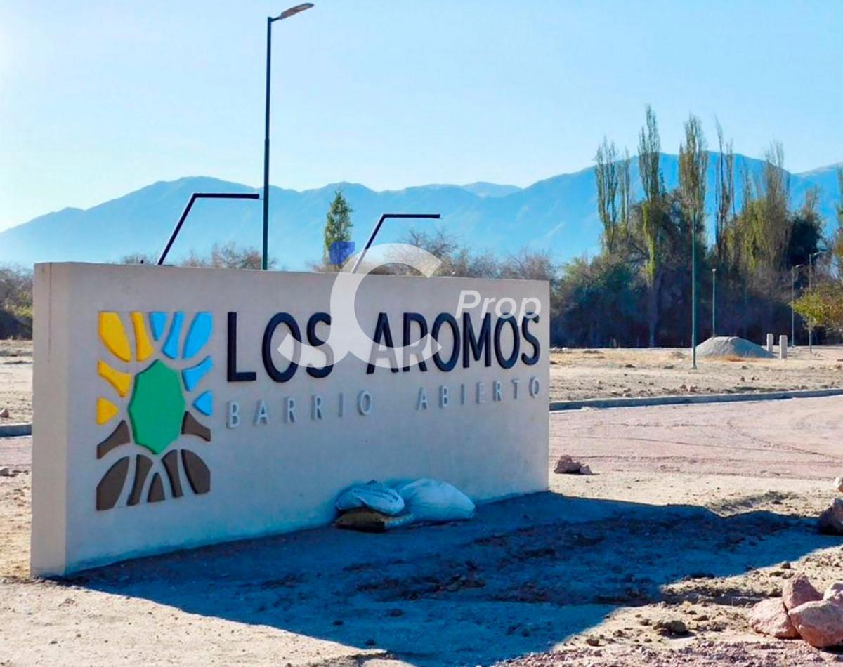 Terreno Los Aromos - Cafayate 5