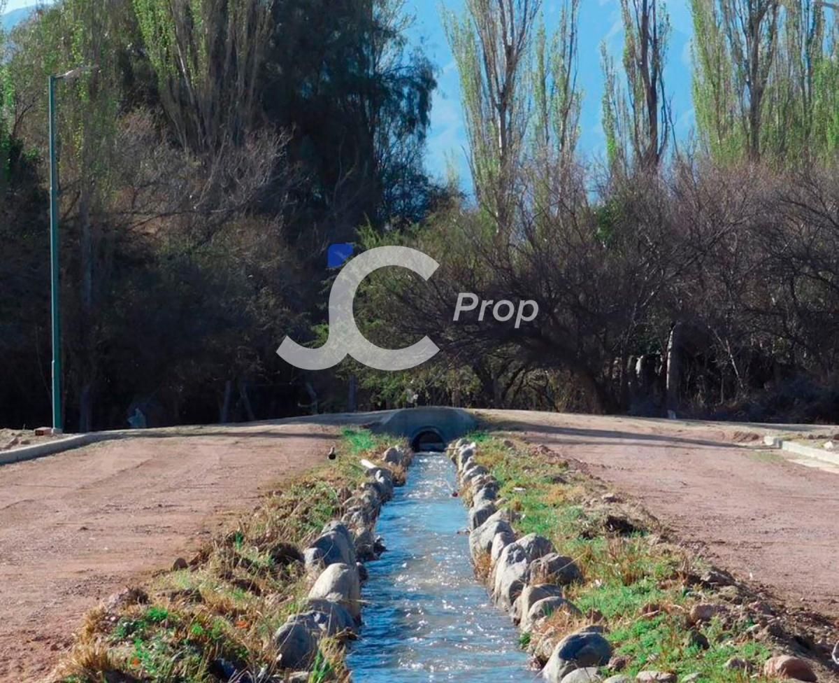 Terreno Los Aromos - Cafayate 4